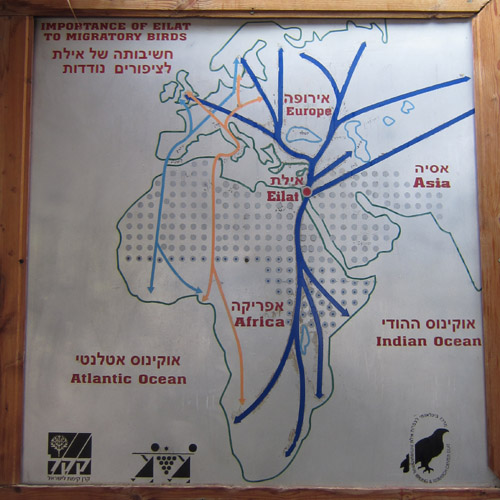 Trekroutes over Israël